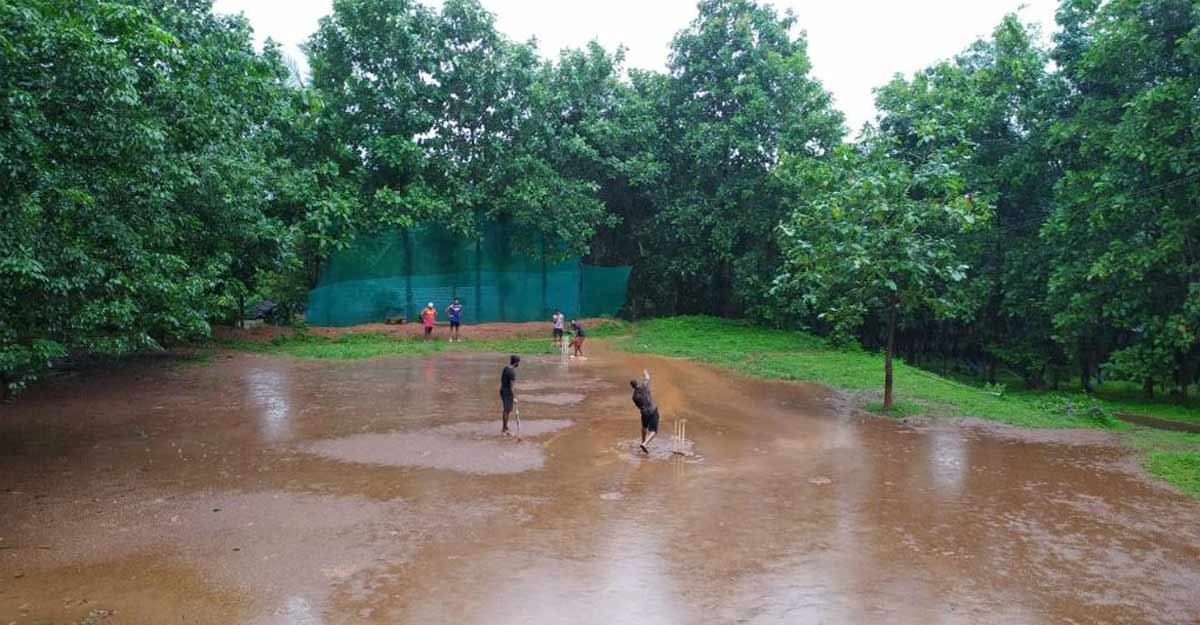 cricket