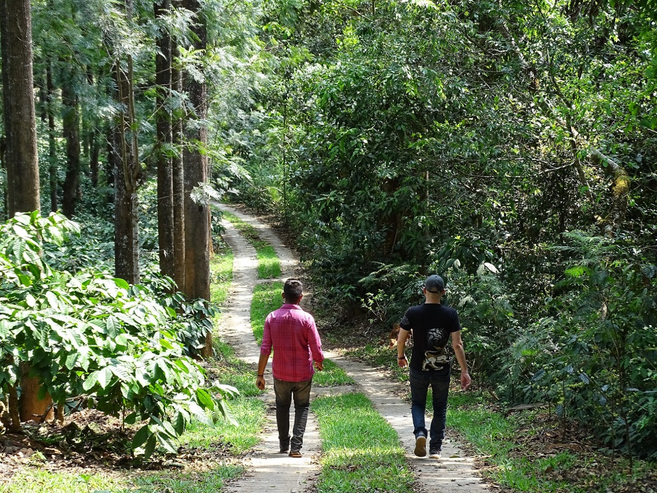 walking