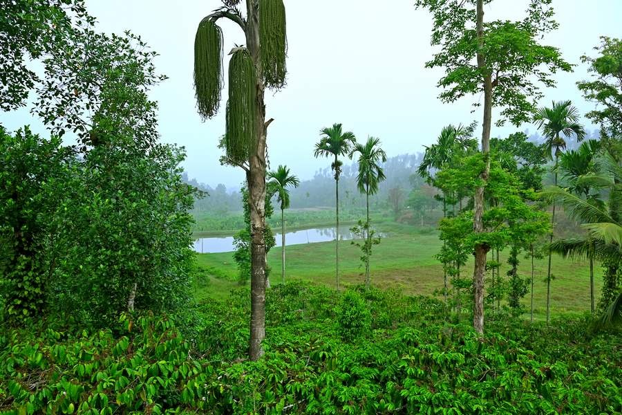 Nature