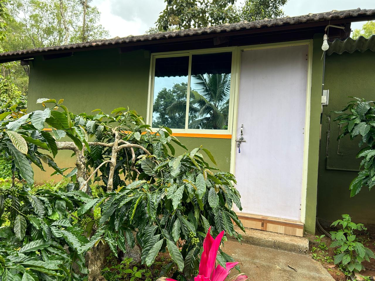 Homestay