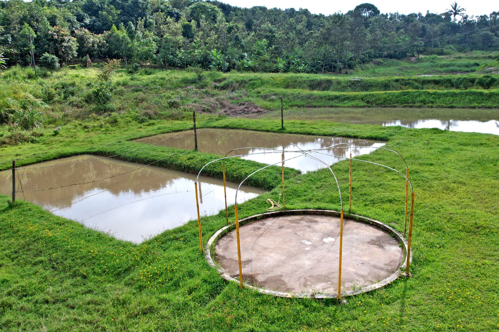 Play ground