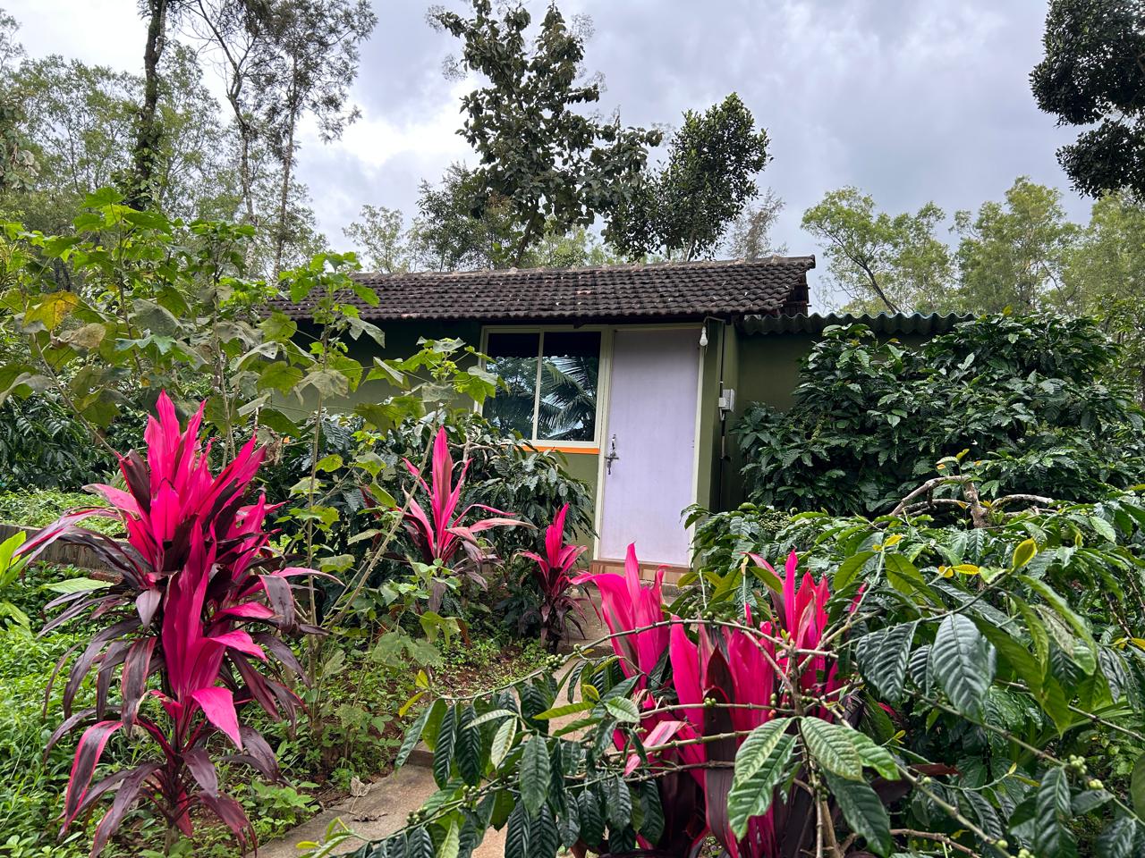 Garden Area