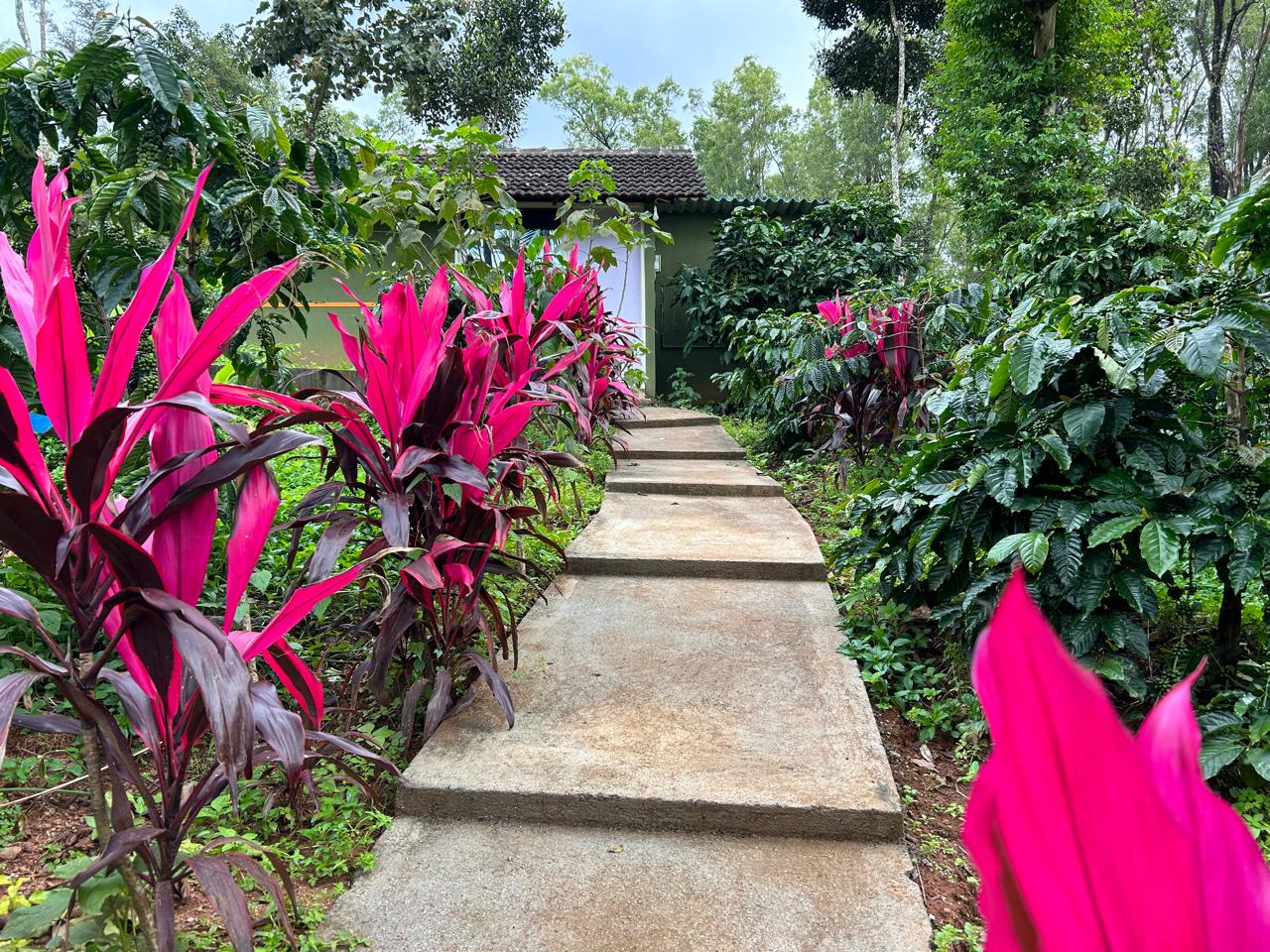 Plantation Walk